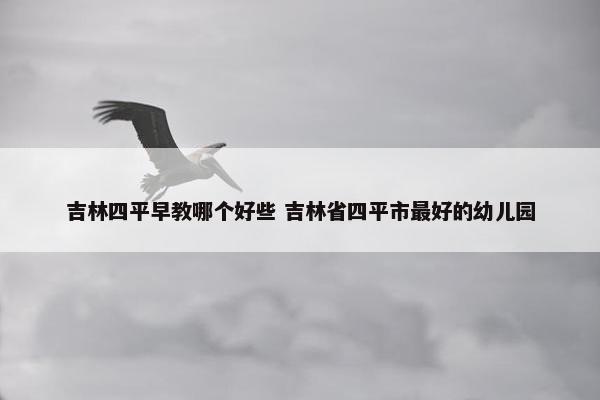 吉林四平早教哪个好些 吉林省四平市最好的幼儿园