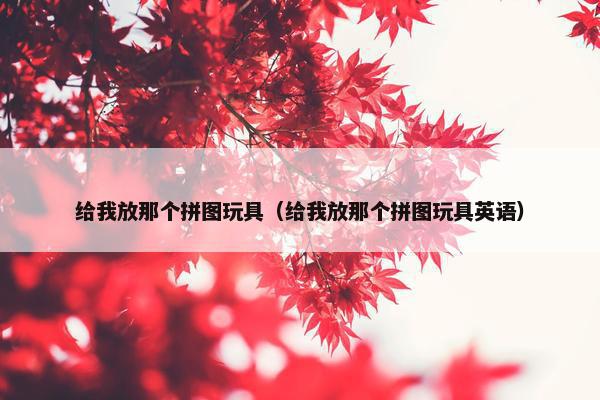 给我放那个拼图玩具（给我放那个拼图玩具英语）