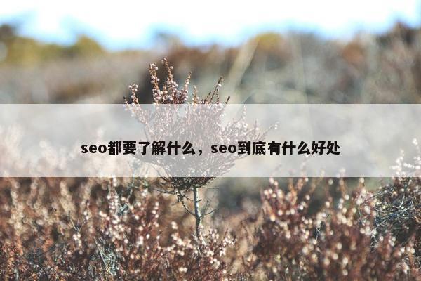 seo都要了解什么，seo到底有什么好处