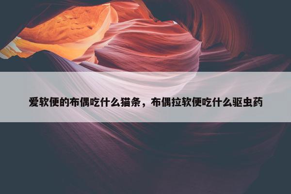 爱软便的布偶吃什么猫条，布偶拉软便吃什么驱虫药