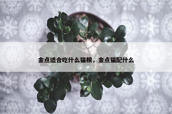 金点适合吃什么猫粮，金点猫配什么