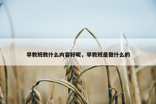 早教班教什么内容好呢，早教班是做什么的