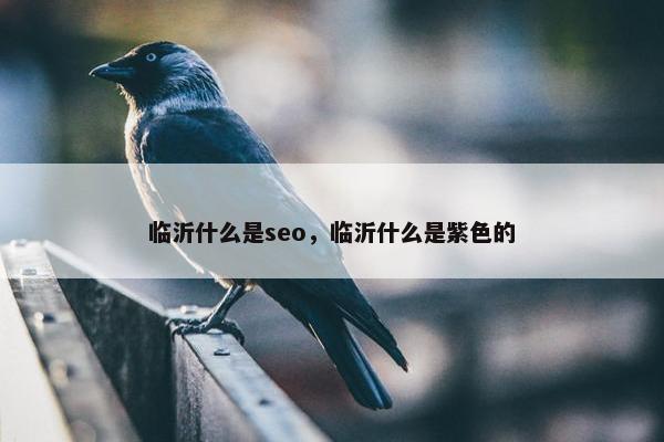 临沂什么是seo，临沂什么是紫色的