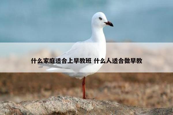 什么家庭适合上早教班 什么人适合做早教