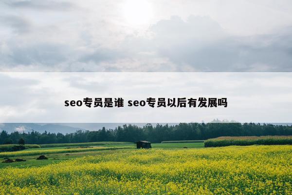 seo专员是谁 seo专员以后有发展吗