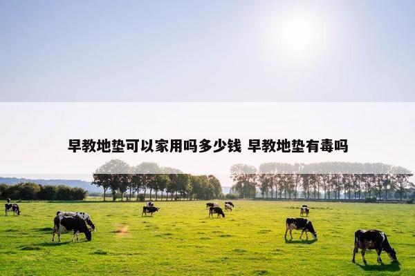 早教地垫可以家用吗多少钱 早教地垫有毒吗