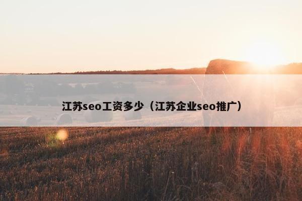 江苏seo工资多少（江苏企业seo推广）