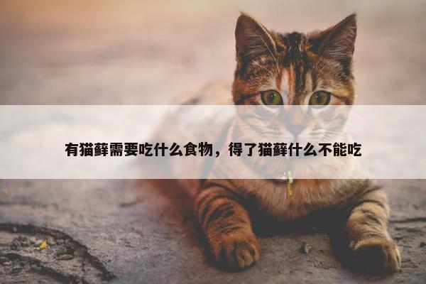 有猫藓需要吃什么食物，得了猫藓什么不能吃