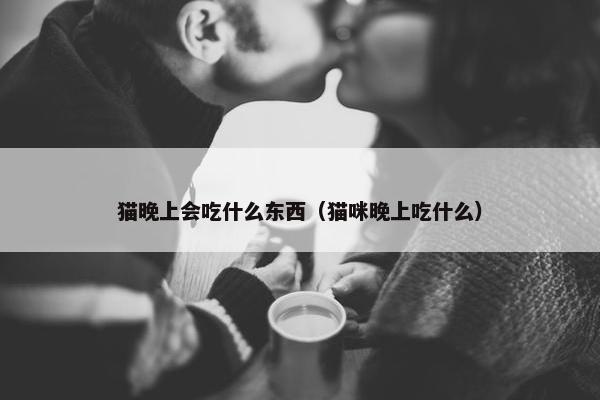 猫晚上会吃什么东西（猫咪晚上吃什么）