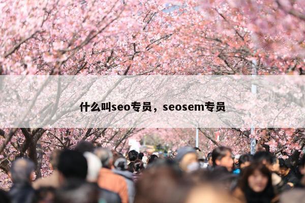 什么叫seo专员，seosem专员