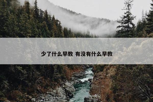 少了什么早教 有没有什么早教