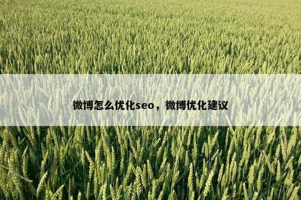 微博怎么优化seo，微博优化建议