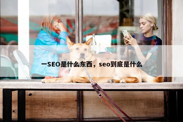 一SEO是什么东西，seo到底是什么