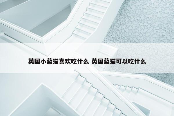 英国小蓝猫喜欢吃什么 英国蓝猫可以吃什么