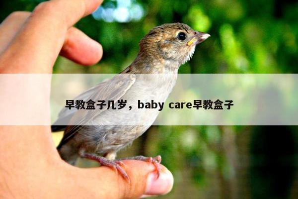 早教盒子几岁，baby care早教盒子