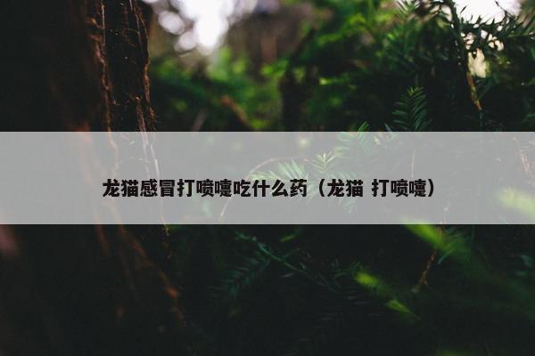 龙猫感冒打喷嚏吃什么药（龙猫 打喷嚏）