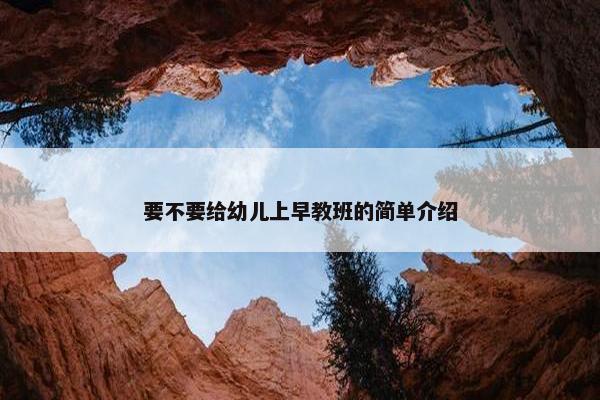 要不要给幼儿上早教班的简单介绍