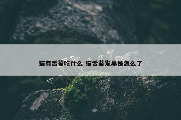 猫有舌苔吃什么 猫舌苔发黑是怎么了