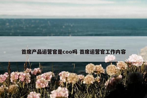 首席产品运营官是coo吗 首席运营官工作内容