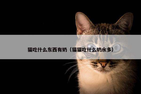 猫吃什么东西有奶（猫猫吃什么奶水多）