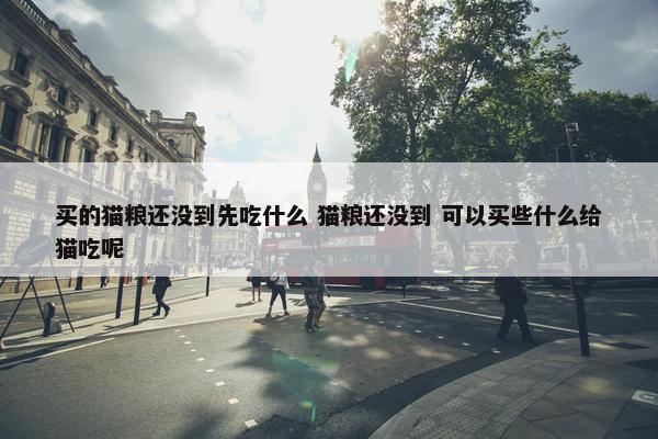 买的猫粮还没到先吃什么 猫粮还没到 可以买些什么给猫吃呢