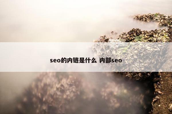 seo的内链是什么 内部seo