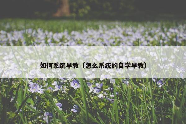 如何系统早教（怎么系统的自学早教）