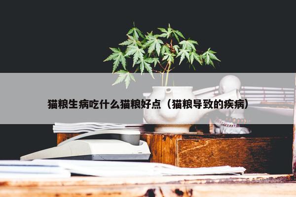 猫粮生病吃什么猫粮好点（猫粮导致的疾病）