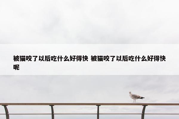 被猫咬了以后吃什么好得快 被猫咬了以后吃什么好得快呢