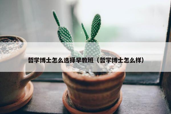 哲学博士怎么选择早教班（哲学博士怎么样）