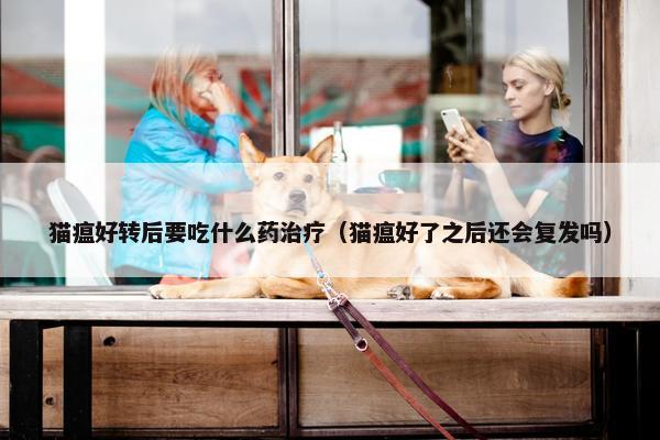 猫瘟好转后要吃什么药治疗（猫瘟好了之后还会复发吗）