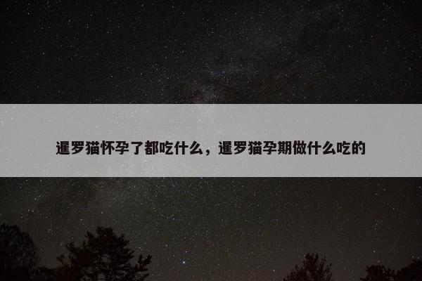 暹罗猫怀孕了都吃什么，暹罗猫孕期做什么吃的