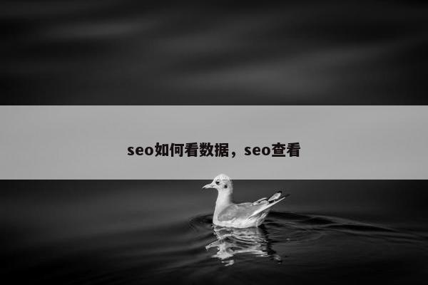 seo如何看数据，seo查看