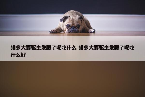 猫多大要驱虫发腮了呢吃什么 猫多大要驱虫发腮了呢吃什么好