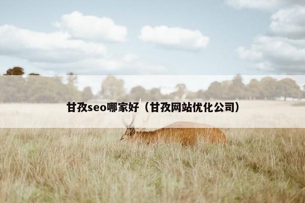 甘孜seo哪家好（甘孜网站优化公司）