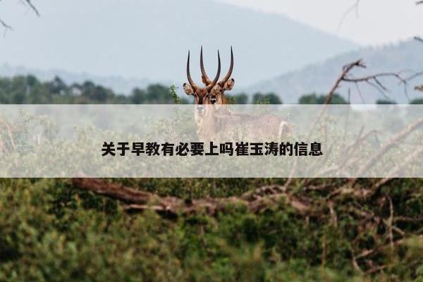 关于早教有必要上吗崔玉涛的信息