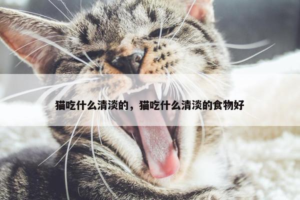 猫吃什么清淡的，猫吃什么清淡的食物好