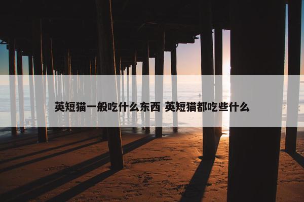 英短猫一般吃什么东西 英短猫都吃些什么