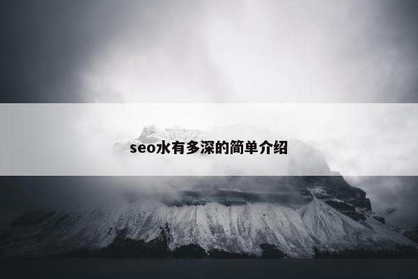 seo水有多深的简单介绍