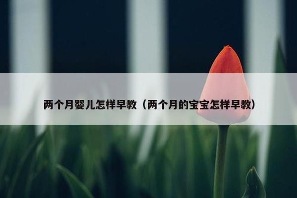 两个月婴儿怎样早教（两个月的宝宝怎样早教）