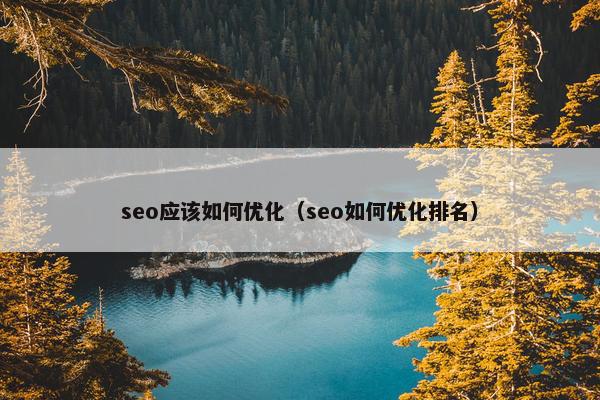 seo应该如何优化（seo如何优化排名）