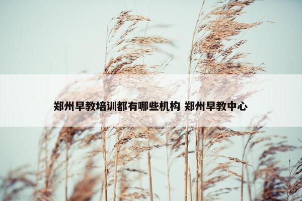 郑州早教培训都有哪些机构 郑州早教中心