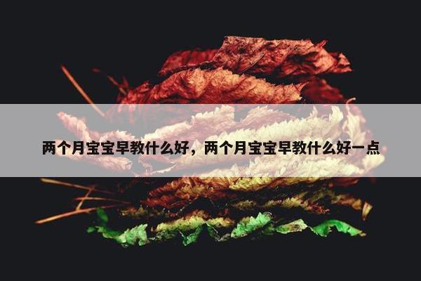 两个月宝宝早教什么好，两个月宝宝早教什么好一点