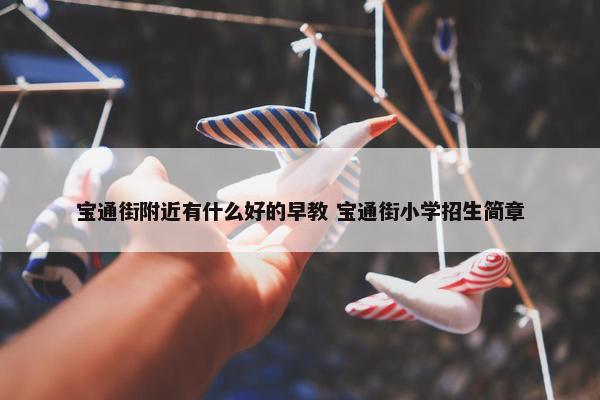 宝通街附近有什么好的早教 宝通街小学招生简章