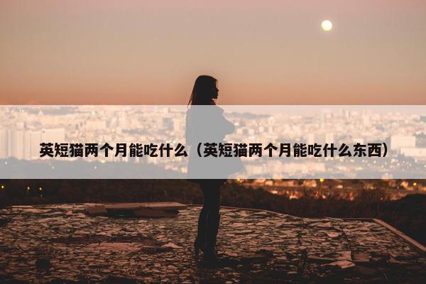 英短猫两个月能吃什么（英短猫两个月能吃什么东西）