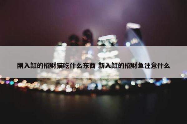 刚入缸的招财猫吃什么东西 新入缸的招财鱼注意什么