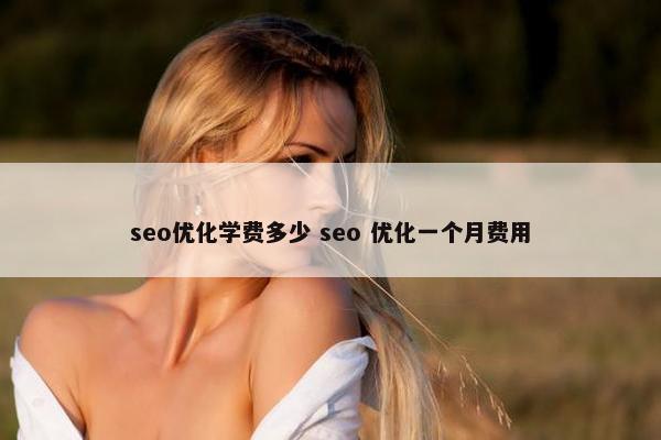 seo优化学费多少 seo 优化一个月费用