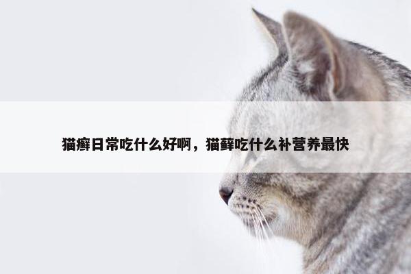 猫癣日常吃什么好啊，猫藓吃什么补营养最快