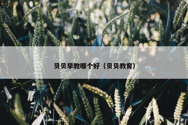 贝贝早教哪个好（贝贝教育）