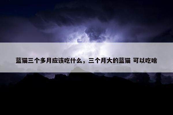 蓝猫三个多月应该吃什么，三个月大的蓝猫 可以吃啥